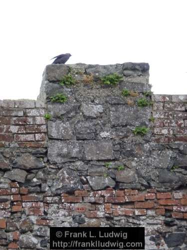 Downhill Castle, Bishop's House, Bishop's Mansion